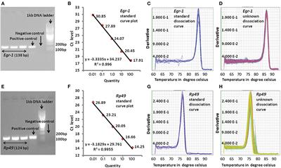 A Method to Study Honey Bee Foraging Regulatory Molecules at Different Times During Foraging
